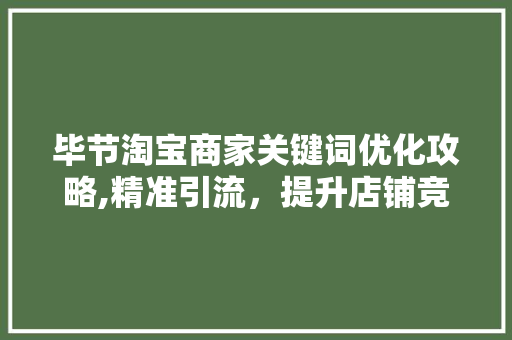 毕节淘宝商家关键词优化攻略,精准引流，提升店铺竞争力