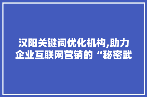汉阳关键词优化机构,助力企业互联网营销的“秘密武器”