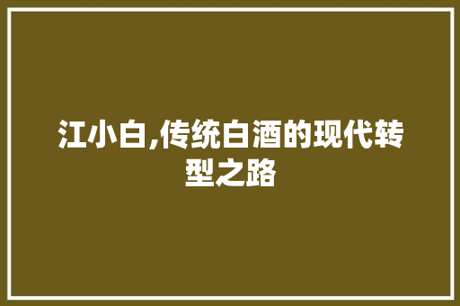 江小白,传统白酒的现代转型之路