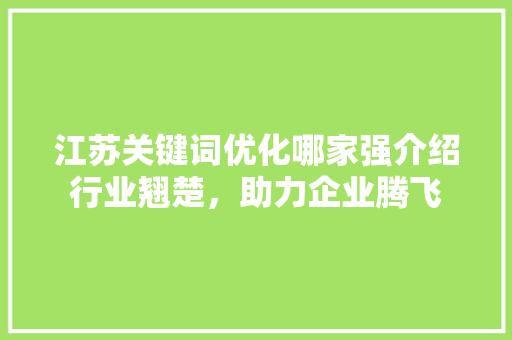 江苏关键词优化哪家强介绍行业翘楚，助力企业腾飞
