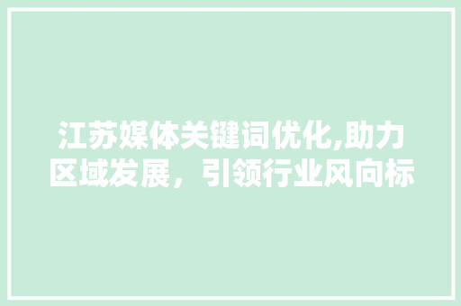 江苏媒体关键词优化,助力区域发展，引领行业风向标