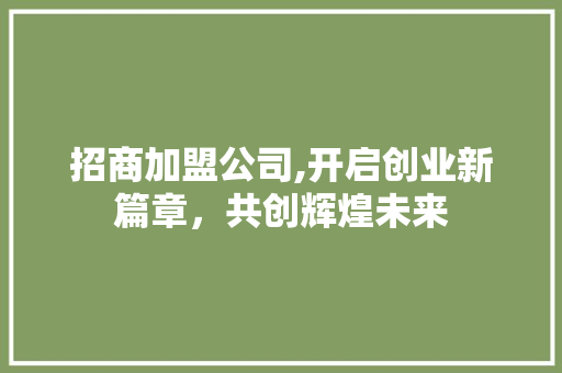 招商加盟公司,开启创业新篇章，共创辉煌未来