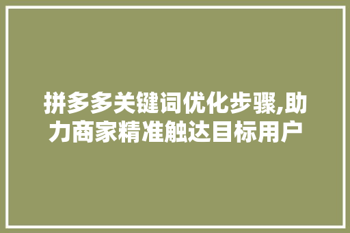 拼多多关键词优化步骤,助力商家精准触达目标用户