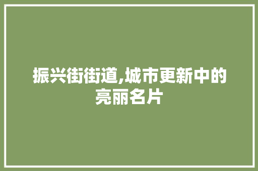 振兴街街道,城市更新中的亮丽名片