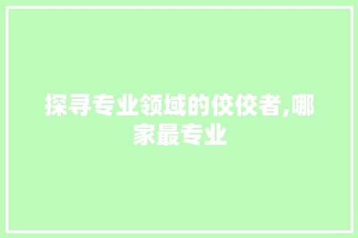 探寻专业领域的佼佼者,哪家最专业