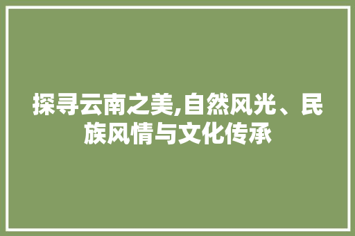 探寻云南之美,自然风光、民族风情与文化传承