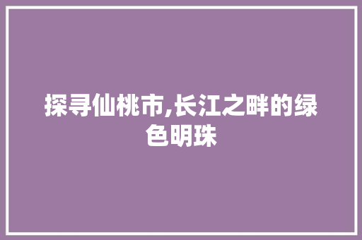 探寻仙桃市,长江之畔的绿色明珠