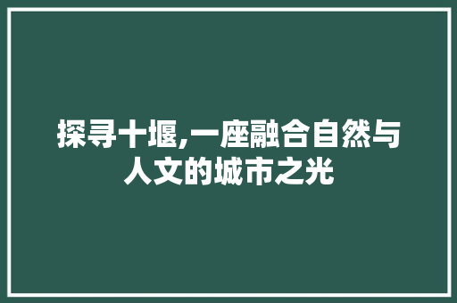 探寻十堰,一座融合自然与人文的城市之光
