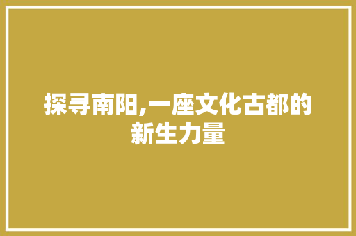探寻南阳,一座文化古都的新生力量