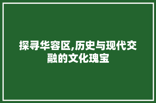 探寻华容区,历史与现代交融的文化瑰宝