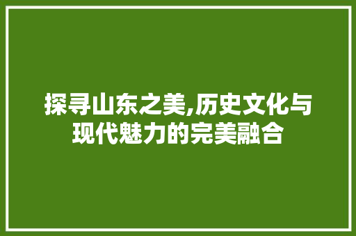 探寻山东之美,历史文化与现代魅力的完美融合