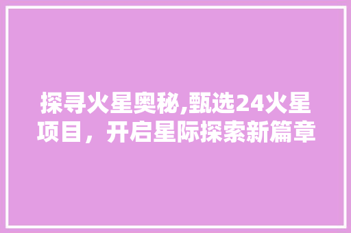探寻火星奥秘,甄选24火星项目，开启星际探索新篇章