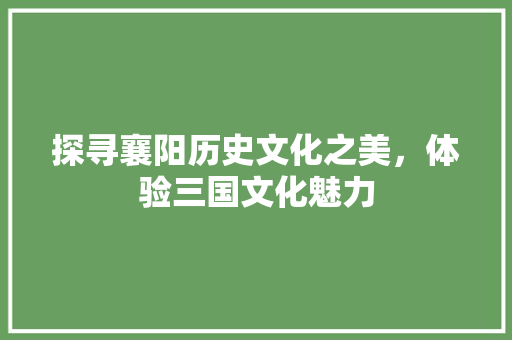 探寻襄阳历史文化之美，体验三国文化魅力