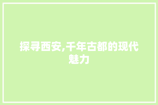 探寻西安,千年古都的现代魅力