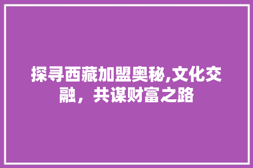 探寻西藏加盟奥秘,文化交融，共谋财富之路