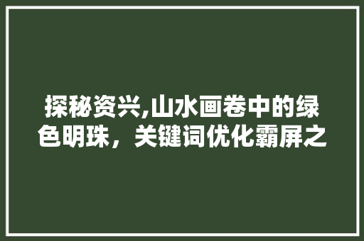 探秘资兴,山水画卷中的绿色明珠，关键词优化霸屏之旅