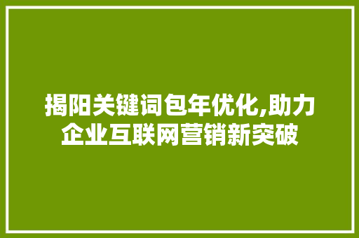 揭阳关键词包年优化,助力企业互联网营销新突破