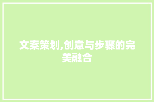 文案策划,创意与步骤的完美融合