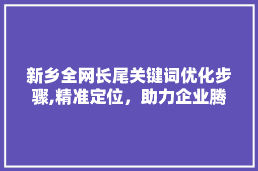 新乡全网长尾关键词优化步骤,精准定位，助力企业腾飞