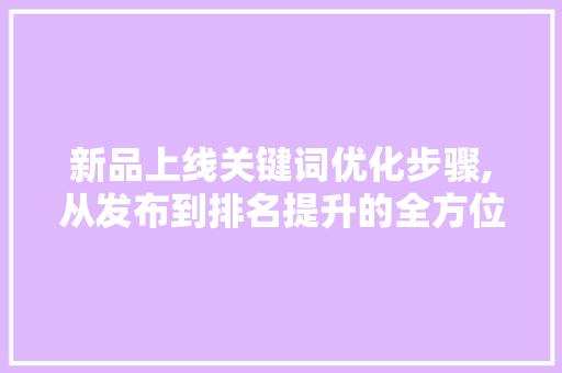 新品上线关键词优化步骤,从发布到排名提升的全方位指导