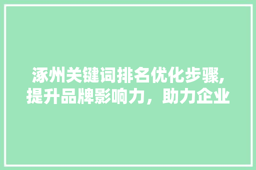 涿州关键词排名优化步骤,提升品牌影响力，助力企业腾飞