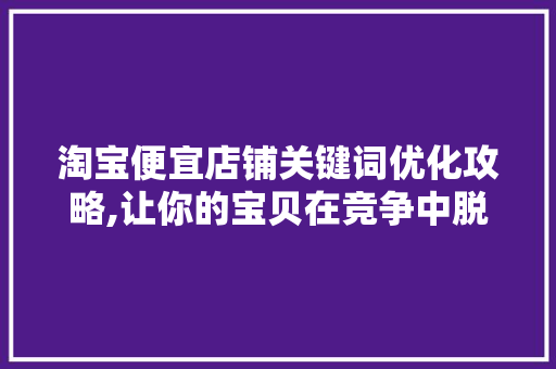 淘宝便宜店铺关键词优化攻略,让你的宝贝在竞争中脱颖而出
