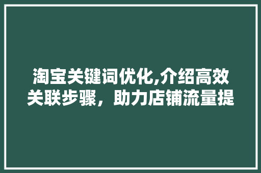 淘宝关键词优化,介绍高效关联步骤，助力店铺流量提升