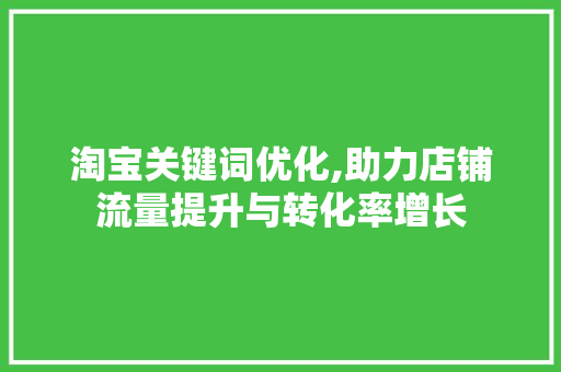 淘宝关键词优化,助力店铺流量提升与转化率增长
