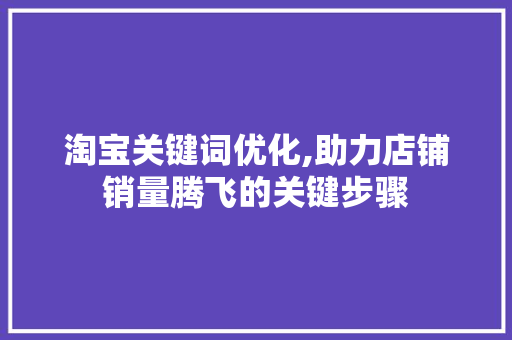 淘宝关键词优化,助力店铺销量腾飞的关键步骤