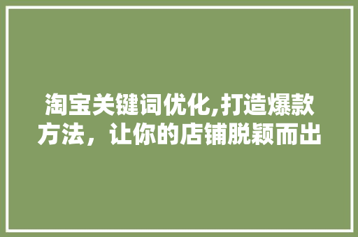 淘宝关键词优化,打造爆款方法，让你的店铺脱颖而出！