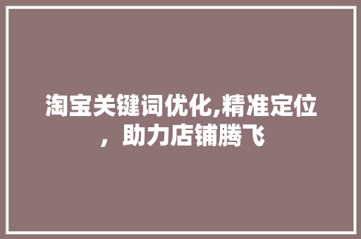 淘宝关键词优化,精准定位，助力店铺腾飞