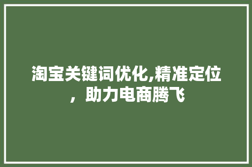 淘宝关键词优化,精准定位，助力电商腾飞