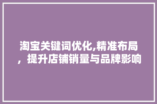 淘宝关键词优化,精准布局，提升店铺销量与品牌影响力