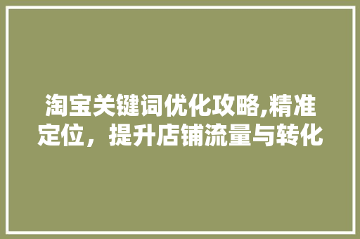 淘宝关键词优化攻略,精准定位，提升店铺流量与转化率