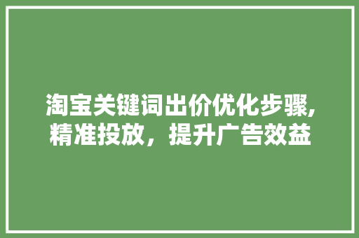 淘宝关键词出价优化步骤,精准投放，提升广告效益 网站建设