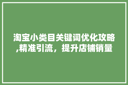 淘宝小类目关键词优化攻略,精准引流，提升店铺销量