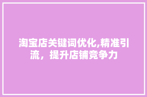 淘宝店关键词优化,精准引流，提升店铺竞争力