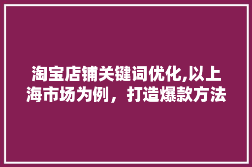 淘宝店铺关键词优化,以上海市场为例，打造爆款方法大公开！