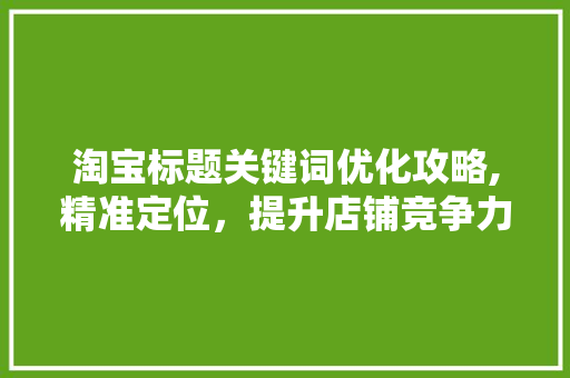 淘宝标题关键词优化攻略,精准定位，提升店铺竞争力