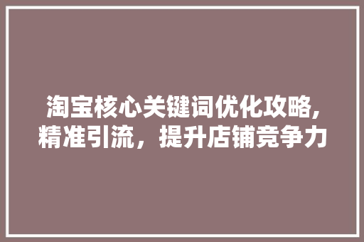 淘宝核心关键词优化攻略,精准引流，提升店铺竞争力