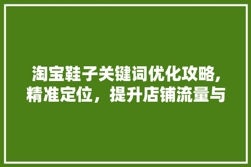 淘宝鞋子关键词优化攻略,精准定位，提升店铺流量与转化率