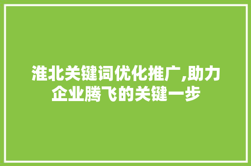 淮北关键词优化推广,助力企业腾飞的关键一步