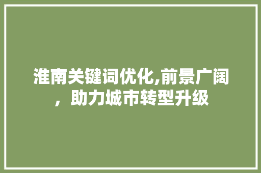 淮南关键词优化,前景广阔，助力城市转型升级