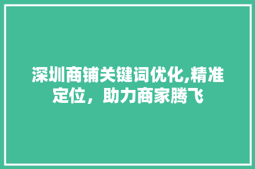 深圳商铺关键词优化,精准定位，助力商家腾飞