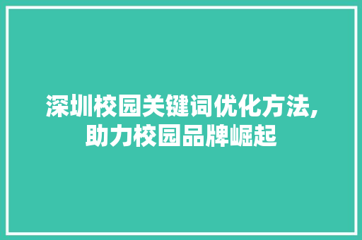 深圳校园关键词优化方法,助力校园品牌崛起