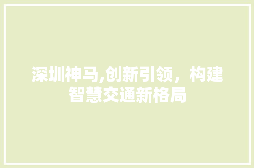 深圳神马,创新引领，构建智慧交通新格局