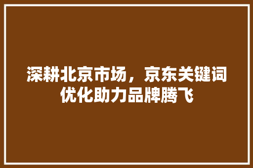 深耕北京市场，京东关键词优化助力品牌腾飞