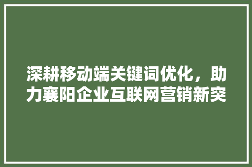 深耕移动端关键词优化，助力襄阳企业互联网营销新突破