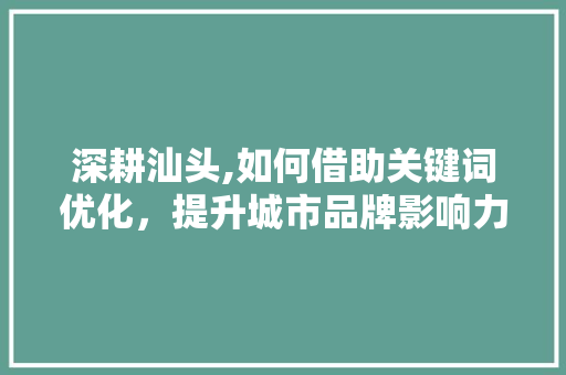 深耕汕头,如何借助关键词优化，提升城市品牌影响力