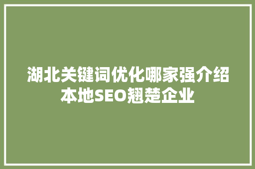 湖北关键词优化哪家强介绍本地SEO翘楚企业